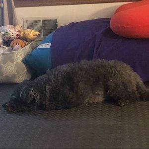 Meet your Posher, Paul